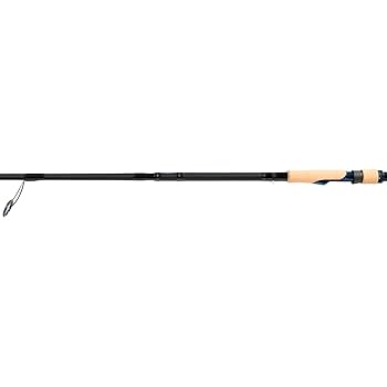 SALTIGA ルアーロッド Amazon.co.jp: ダイワ(DAIWA) オフショアキャスティングロッド